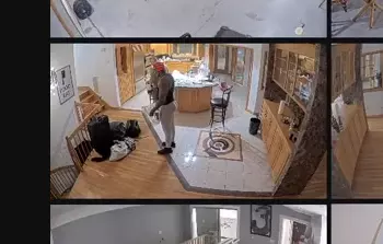 1732929033707.png