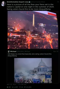Screenshot 2024-11-29 at 22-41-29 Disinformation Expert Lizzy (@StarChamberMaid) Here is a pic...png