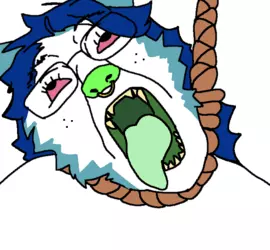 1732944529842.png
