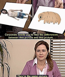 tiny_versus_tardigrade.jpg