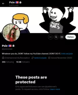pxielove-x-profile.png