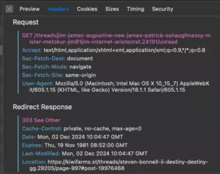 303 redirect response.png