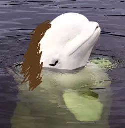 1000017690.png
