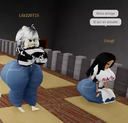 1733160804396.png