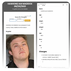 Mugshot Details 1.jpg