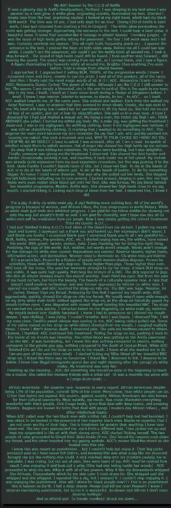 fgatfan.neocities.org_aoc.png