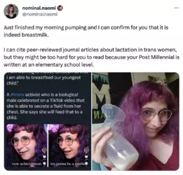 snapshot.png