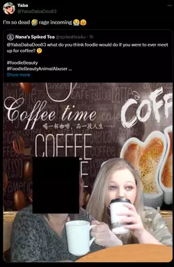 1733194713437.png