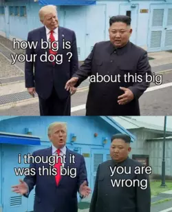 1733243032484.png