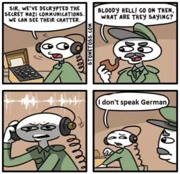 1733244341093.png