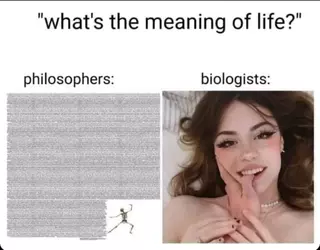 946831.png
