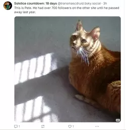 1733259564147.png