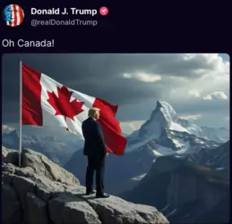 1733263091372.png