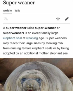 8576893576945.jpg