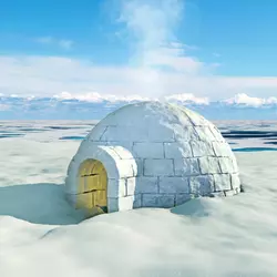 igloo-real-tools_s.webp