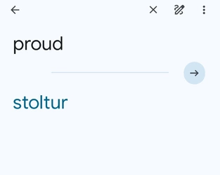 Screenshot_20241204_145951_Translate.jpg