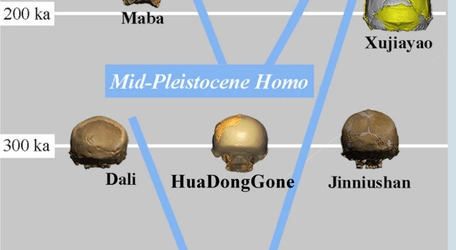 dong gone homo lel.jpg