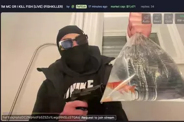 1733353300797.png 1733353300797.png
