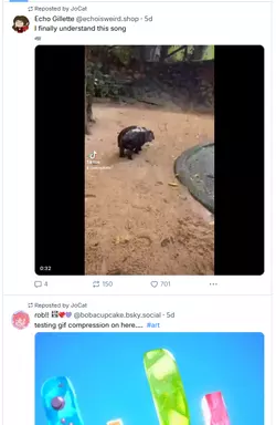 JoCatdoesntcare.png
