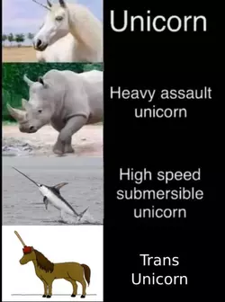 1733362583209.png