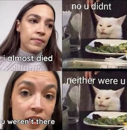 j6cortezcat.jpeg