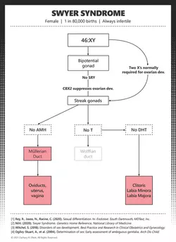 IMG_2134.png