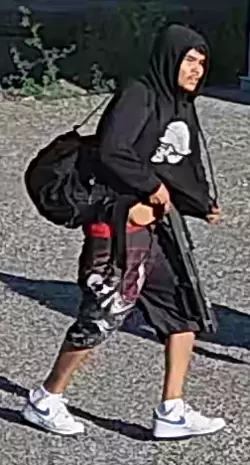 pgc-suspect2.png