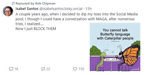 butterfly.jpg