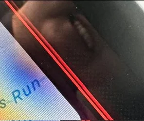 1733449066337.jpeg