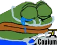 1733452801244.png