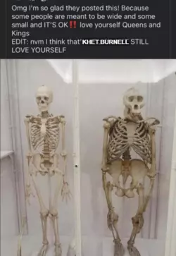 khet.png