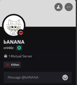 Screenshot 2024-12-06 201903.png