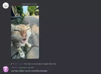 Screenshot 2024-12-06 201950.png