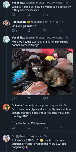 Screenshot_20241206-115952~2.png