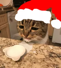 xmas kitty.png