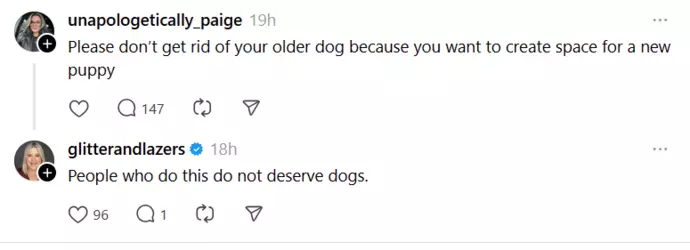 1733544309642.png