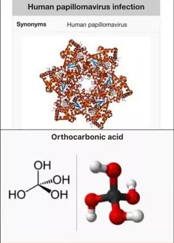 1733580617787.png