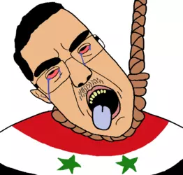 1733592156355.png