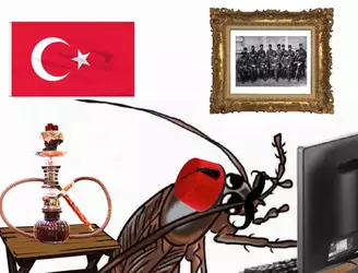 le-least-patriotic-turk-v0-5c12ulq6ely91.webp