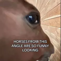 1733615966701.png