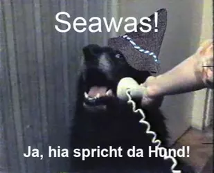 ja spricht da hund.png
