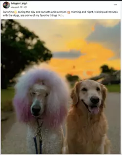 Screenshot 2024-11-29 at 19.34.19.png