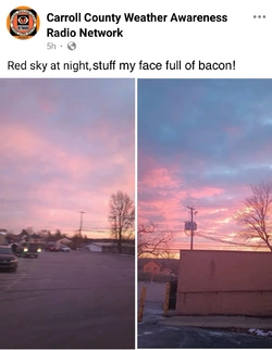 IMG_8018.jpeg
