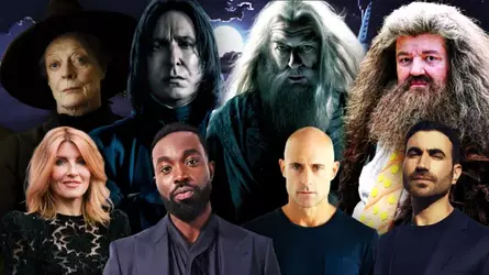 Harry-Potter_7de9c7.webp