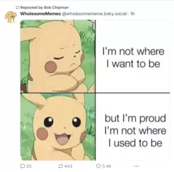 1733670355306.png