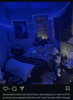 1733693108727.png