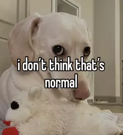 1733702454598.png