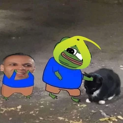 rossmannkot.jpg