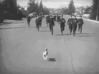 dog-police.gif