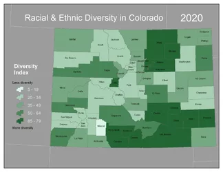 Diversity-Index-2020_5Cat-1200x927.jpg